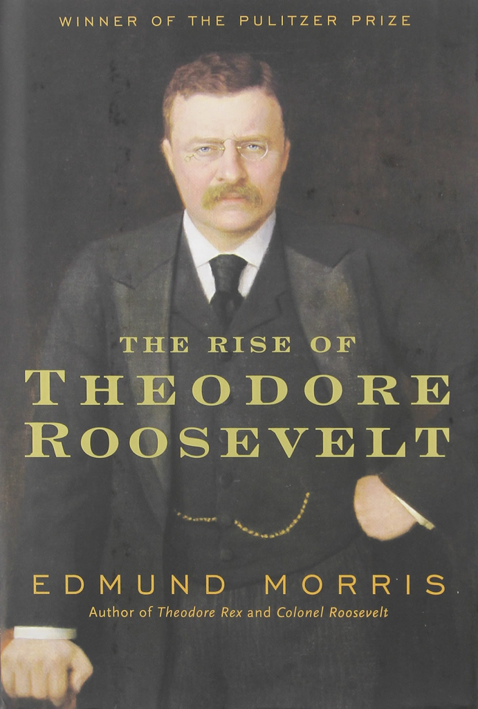 the rise of theodore roosevelt book
